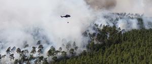 Waldbrand Brandenburg aktuell: Feuer erreicht rote Zone mit alter Munition