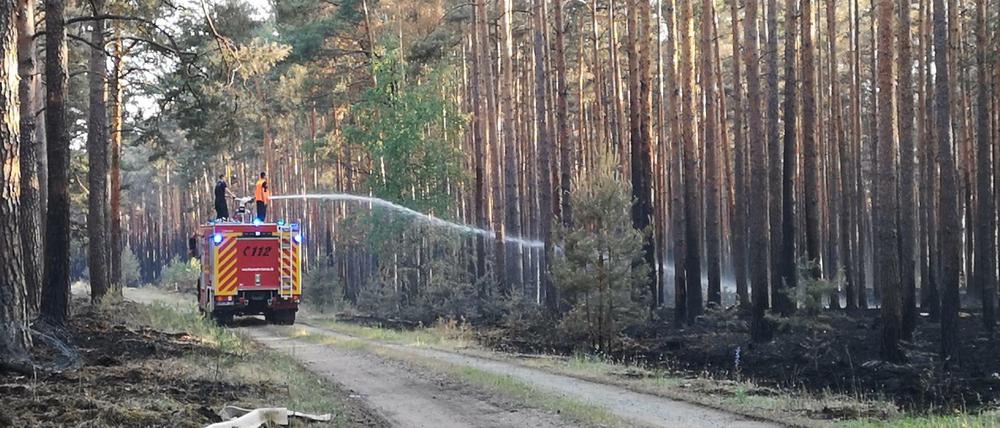 Feuerwehrleute stehen bei Jüterbog auf einem Einsatzfahrzeug der Feuerwehr und spritzen Wasser auf Glutnester. 