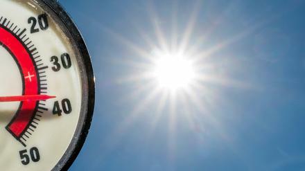 Wer heute mit Rudi Carrell "Wann wird's mal wieder richtig Sommer?" fragt, dem - oder der - kann man antworten: Jetzt. Und das so richtig-richtig. Dieses Archivbild aus Brandenburg mit einer Lufttemperatur wie der normalen Körpertemperatur stammt aus dem Sommer 2015.