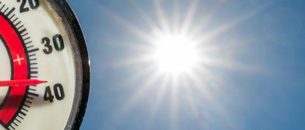 Wer heute mit Rudi Carrell "Wann wird's mal wieder richtig Sommer?" fragt, dem - oder der - kann man antworten: Jetzt. Und das so richtig-richtig. Dieses Archivbild aus Brandenburg mit einer Lufttemperatur wie der normalen Körpertemperatur stammt aus dem Sommer 2015.