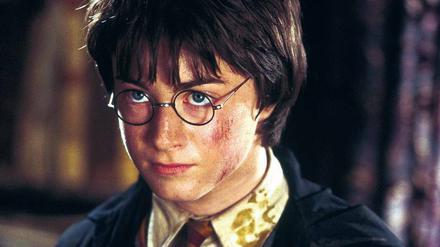 Das große Vorbild: Die Harry-Potter-Filmserie. Das Bild zeigt Daniel Radcliffe in „Harry Potter und die Kammer des Schreckens“. 