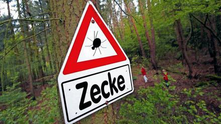 Achtung Blutsauger: Keine Panik, aber Vorsicht ist angebracht.