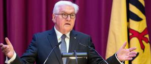 Bundespräsident Frank-Walter Steinmeier 