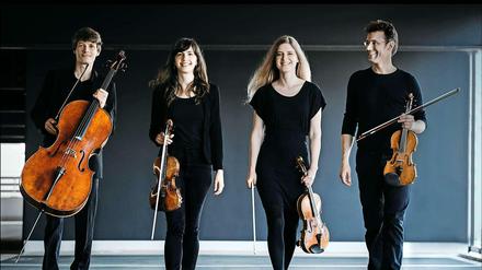 Spielt gerne in Bars und Clubs: das Orbis Quartett.