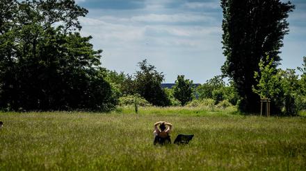 „Dieses Feld, gerade weil es so weitläufig ist, gerade weil es quasi nur flach ist, bietet ein Gefühl von Freiheit“.