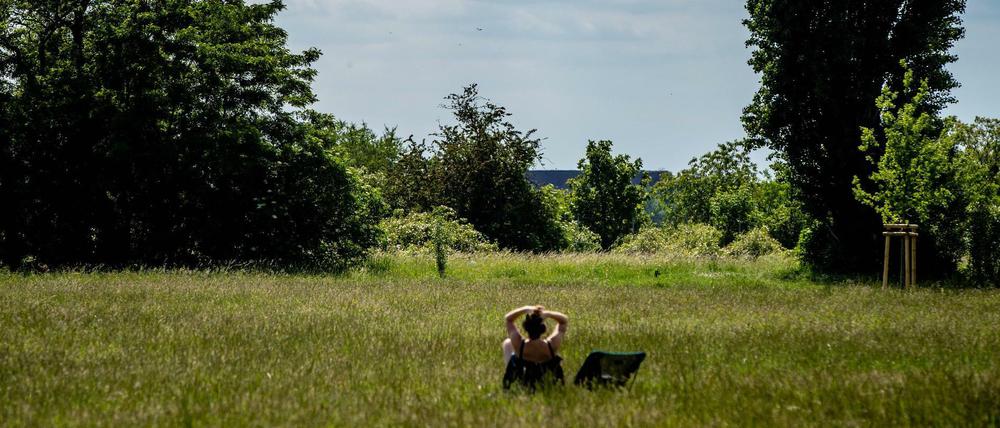 „Dieses Feld, gerade weil es so weitläufig ist, gerade weil es quasi nur flach ist, bietet ein Gefühl von Freiheit“.