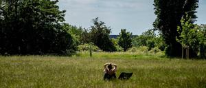 „Dieses Feld, gerade weil es so weitläufig ist, gerade weil es quasi nur flach ist, bietet ein Gefühl von Freiheit“.