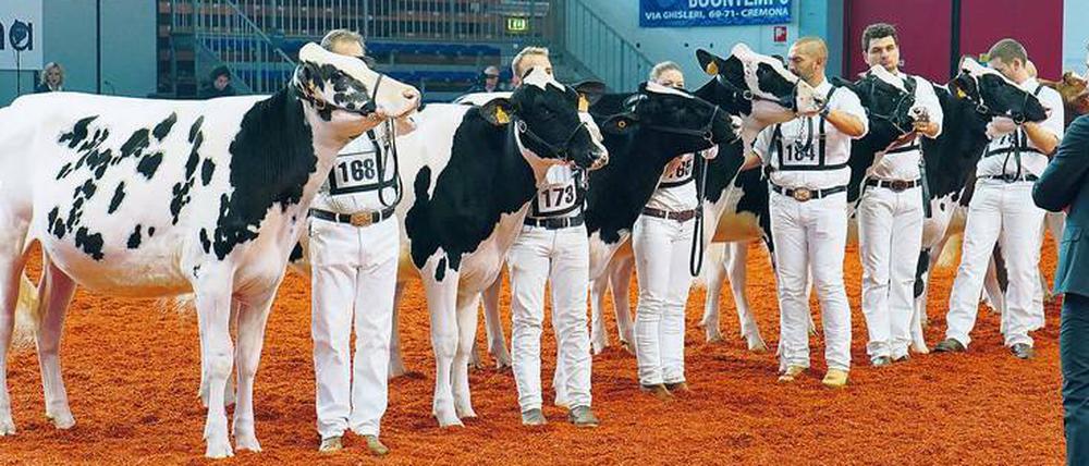 Hinter die Kulissen. Wegen ihrer reinen Farbe und ihrer unumstrittenen Rolle als Kindernahrung hat Milch in unserer Gesellschaft eine hohe symbolische, ja beinahe mythische Bedeutung. 