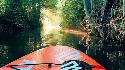 Stille. Manche SUP-Touren gehen schon früh morgens los, dann kann man idyllische Momente erleben.