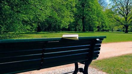 Eine Bank, ein Buch - was braucht man mehr? Na, jemanden, der es geschrieben hat und nun daraus vorliest.