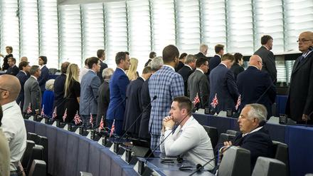 Die Mitglieder im Europäischen Parlament für die Brexit-Partei von Großbritannien kehren dem Parlament den Rücken zu.