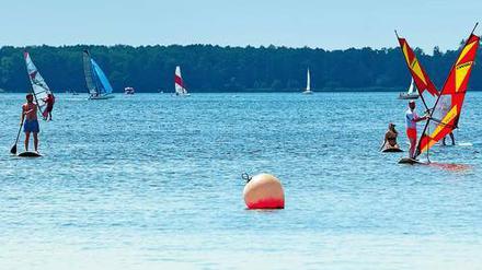 Wassersportler auf dem Müggelsee in Berlin-Köpenick bei Sonnenschein, vom Strand aus gesehen.
