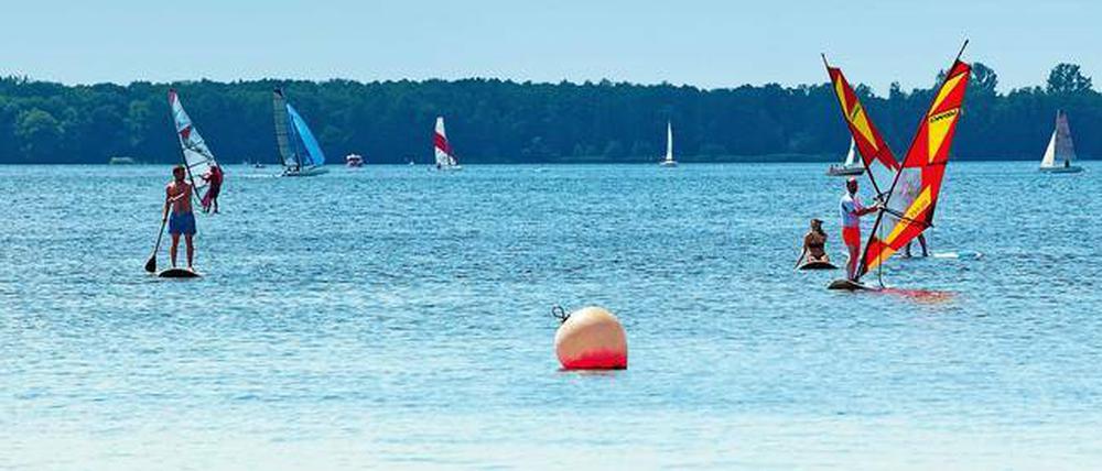 Wassersportler auf dem Müggelsee in Berlin-Köpenick bei Sonnenschein, vom Strand aus gesehen.