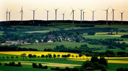 Für die AfD sind Windkraftanlagen ein Feindbild.
