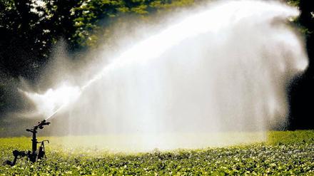 Damit das Wasser in Brandenburg nicht knapp wird, werden nun erste Maßnahmen ergriffen.