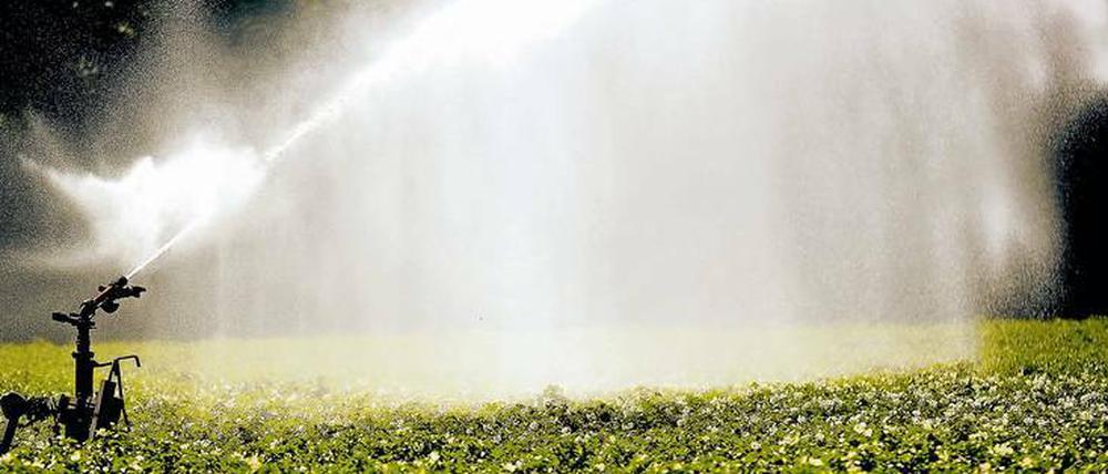 Damit das Wasser in Brandenburg nicht knapp wird, werden nun erste Maßnahmen ergriffen.