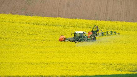 Ein Traktor spritzt bei Glauburg (Wetterau) Pflanzenschutzmittel auf ein Feld mit Winterraps.