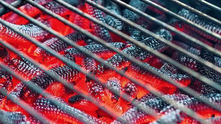 Hier werden Maisspindeln zu Grillkohle.