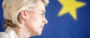 In europäischer Mission: Verteidigungsministerin Ursula von der Leyen im April 2016 bei einem Truppenbesuch in Mali.