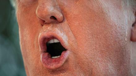 US-Präsident Donald Trump.