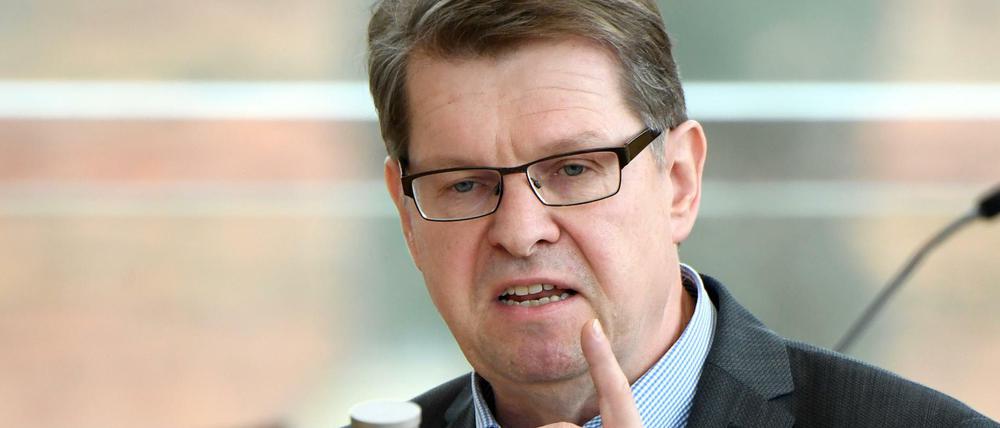 Der SPD-Vizechef Ralf Stegner.