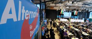 Teilnehmer des Landesparteitages der sächsischen AfD.