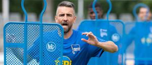 Unermüdlich. Vedad Ibisevic geht als Hertha-Kapitän in die neue Saison.