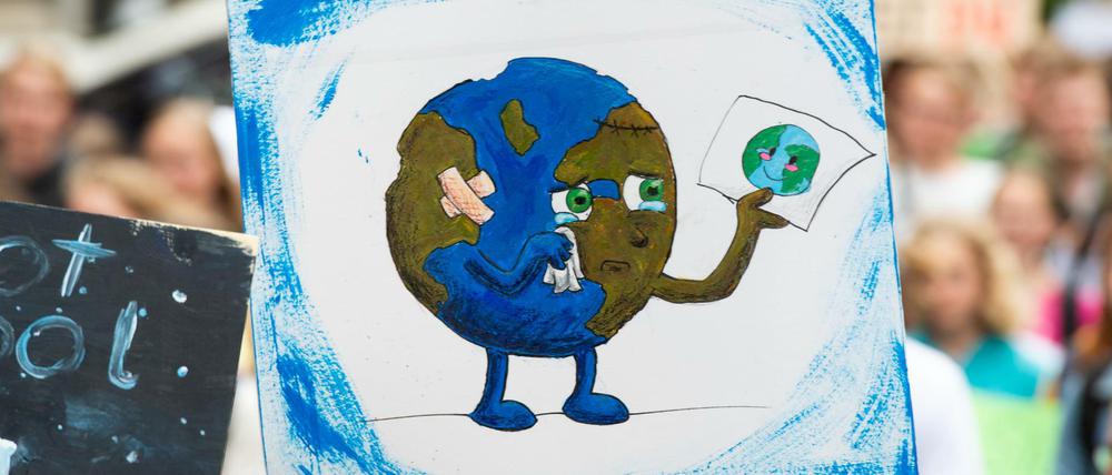 Zum Heulen für die Erde – oder hat sie auch noch was zu lachen? Ein Plakat bei „Fridays for Future“ in Hannover.
