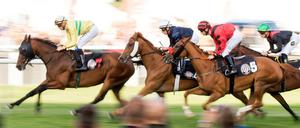 Tempo, Tempo: Beim Deutschen Galopp-Derby werden die schnellsten Pferde ihres Jahrgangs gesucht.