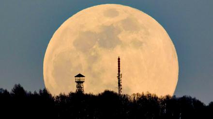 Die Begeisterung für den Mond hält sich in Grenzen.