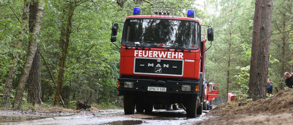 In der Lieberoser Heide kämpfen Einsatzkräfte gegen einen Waldbrand.