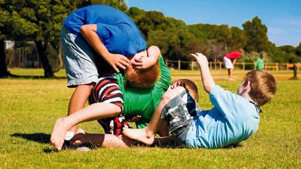Raufbolde. Kleinen Jungen toben gerne. Mädchen allerdings auch.