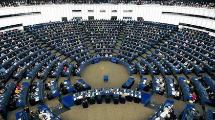 Meinungsforscher zählen 251 EU-Skeptiker im Europaparlament. Das ist ein Drittel aller Abgeordneten.