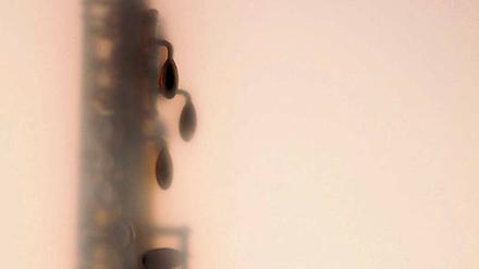 Hinter Glas. Tessa Meyer inszeniert die Saxophone der Instrumentensammlung als sinnliche Körperschatten.