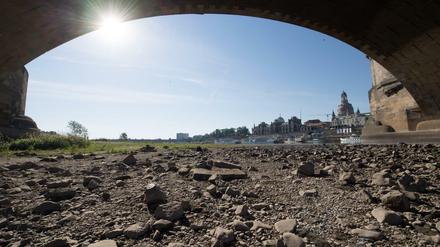 Ein Brückenbogen der Augustusbrücke in Dresden überspannt das ausgetrocknete Flussbett am Ufer der Elbe vor der Kulisse der Altstadt.