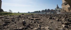 Ein Brückenbogen der Augustusbrücke in Dresden überspannt das ausgetrocknete Flussbett am Ufer der Elbe vor der Kulisse der Altstadt.