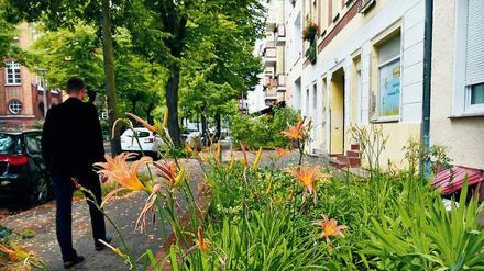  Eine scheinbar friedliche Straße im Treptow-Köpenicker Ortsteil Adlershof. 