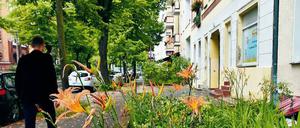 Eine scheinbar friedliche Straße im Treptow-Köpenicker Ortsteil Adlershof.
