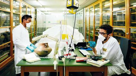 Zwei Wissenschaftler aus Brasilien bei der Arbeit in den Dahlemer Depot.