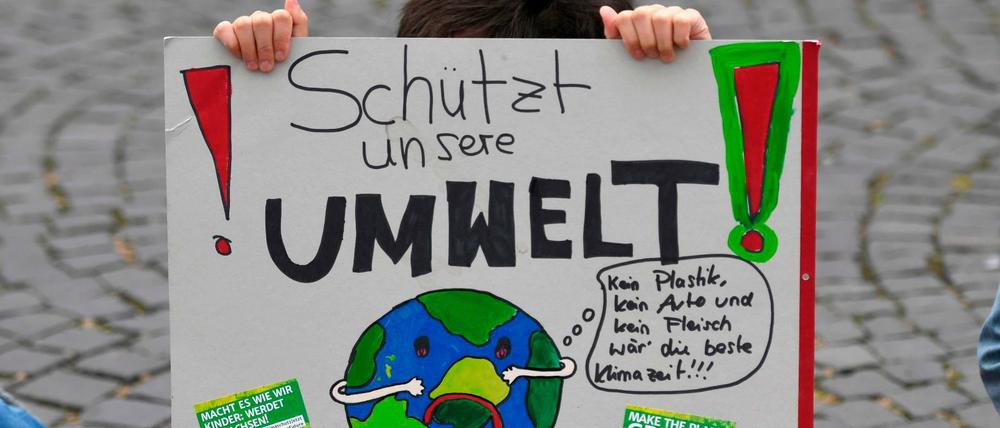 Berliner Unis wollen mit der Protestbewegung "Fridays for Future" zusammenarbeiten. 