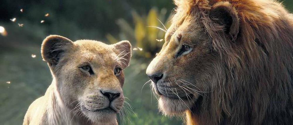 Nala und Simba sind komplett am Rechner entstanden, Beyoncé und Donald Glover leihen dem Löwenpärchen ihre Stimmen.
