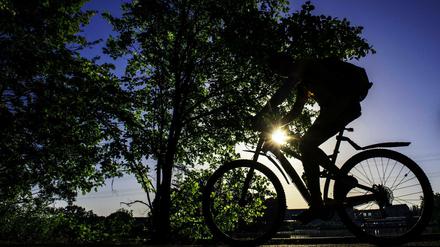 Ein Mann fährt mit dem Rad am Ufer der Spree durch den Plänterwald.