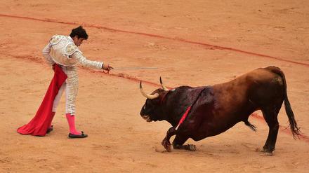 José Garrido, Stierkämpfer aus Mexiko, reizt einen Stier während eines Stierkampfs beim San Fermin Festival. (Archivbild)