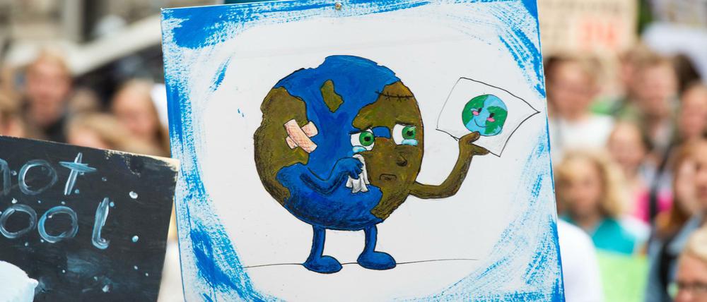 Ein Demonstrant der Bewegung Fridays For Future geht mit einem Plakat mit einer gezeichneten weinenden Erde durch Mannheim