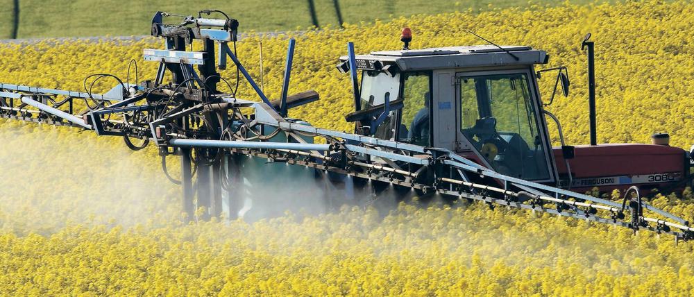 In den USA klagen mehr als 13400 Menschen gegen die Bayer-Tochter Monsanto, die 1974 Glyphosat auf den Markt gebracht hatte.