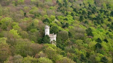 Luftaufnahme des vorbildlichen Göttinger Stadtforstes mit Bismarckturm.