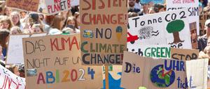 Hamburg: Teilnehmer der Klima-Demonstration Fridays for Future.