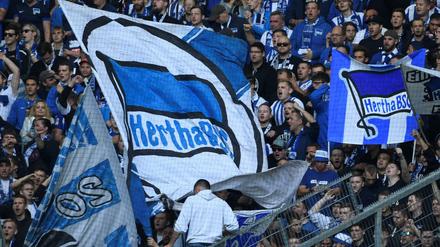 Einige Fans lehnen den Investor ab.