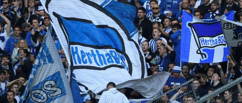Einige Fans lehnen den Investor ab.