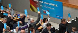 Falsch abgestimmt? Die AfD in Sachsen hat ein Listenproblem.